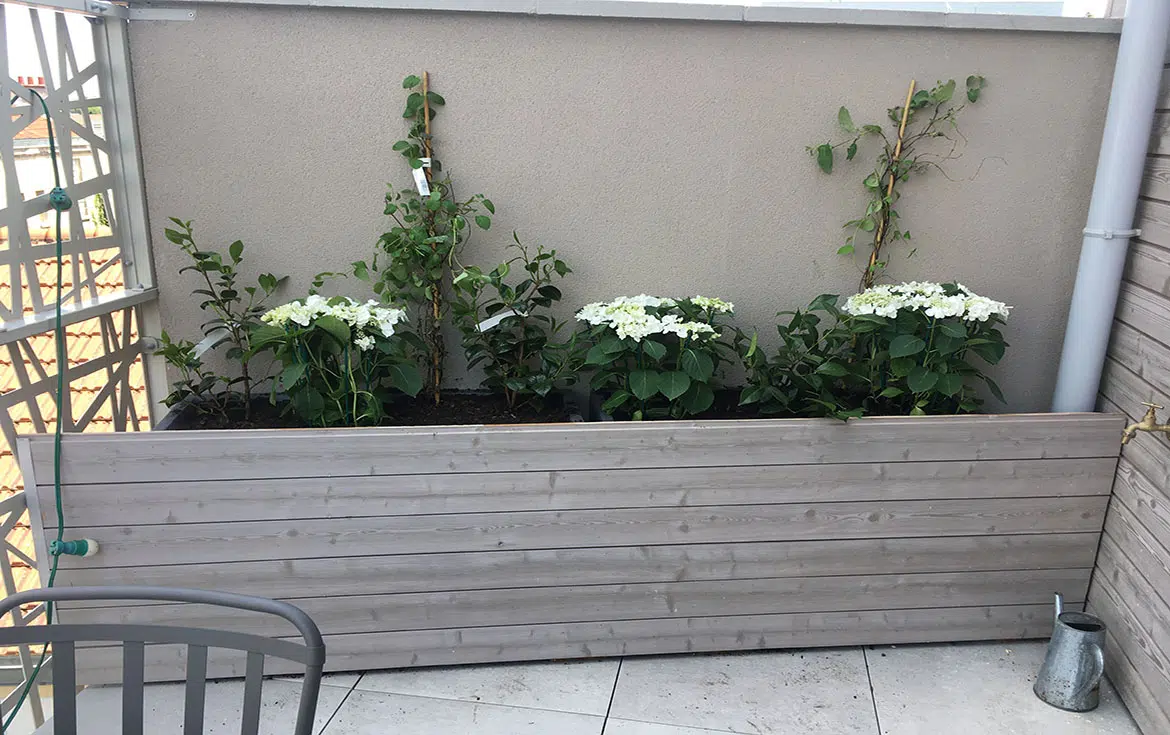 L'entretien d'une terrasse à Pantin