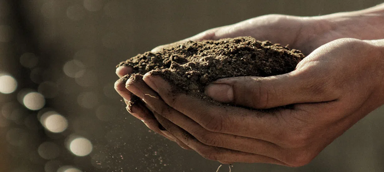 Cmonjardinier vous explique la différence entre compost et vermicompost.