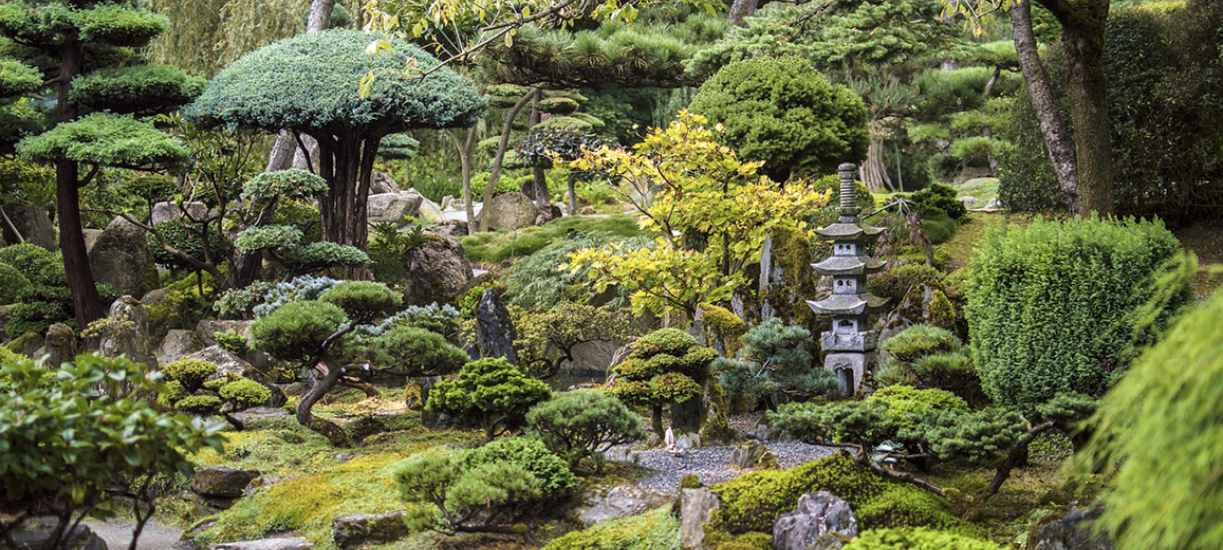 Créer un jardin japonais - aménager un jardin zen - Cmonjardinier