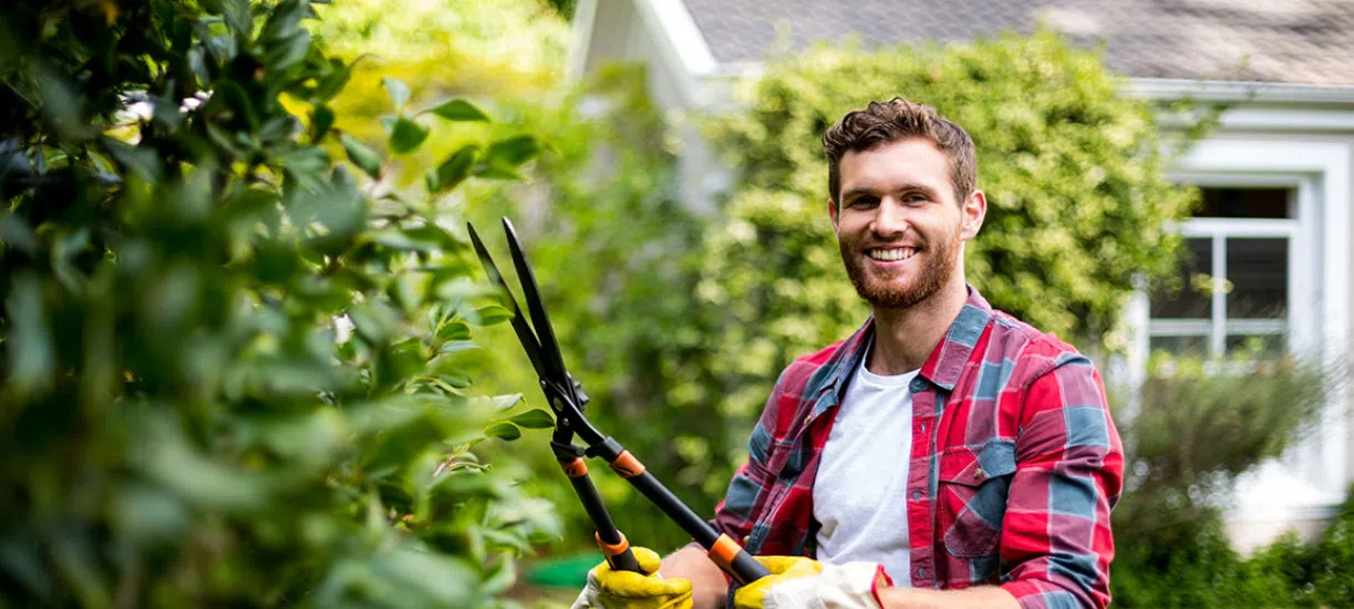 La taille des haies selon Cmonjardinier.