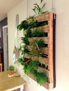 Fabriquer un mur végétal en intérieur