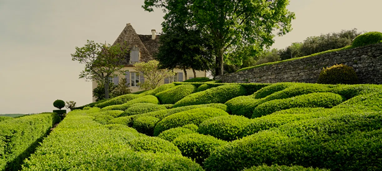 L'art topiaire comment faire? Cmonjardinier vous explique tout sur la taille artistique.