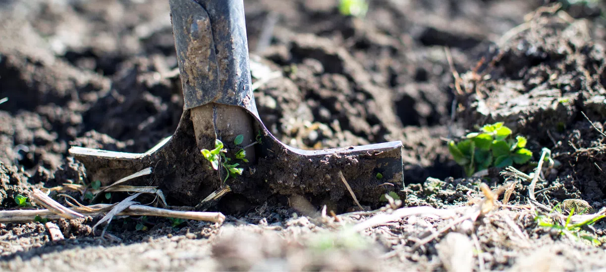 Créer une entreprise de paysagiste avec Cmonjardinier